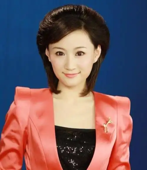 2008年开始潘艺心回到家乡日照,开始担任播音主持人,先后主持过《日照