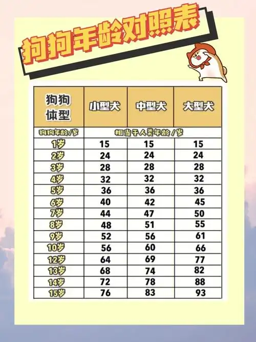 狗狗年龄和人类对照表丨各阶段注意事项