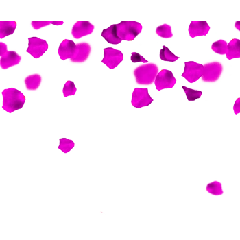 紫色清新花瓣漂浮素材