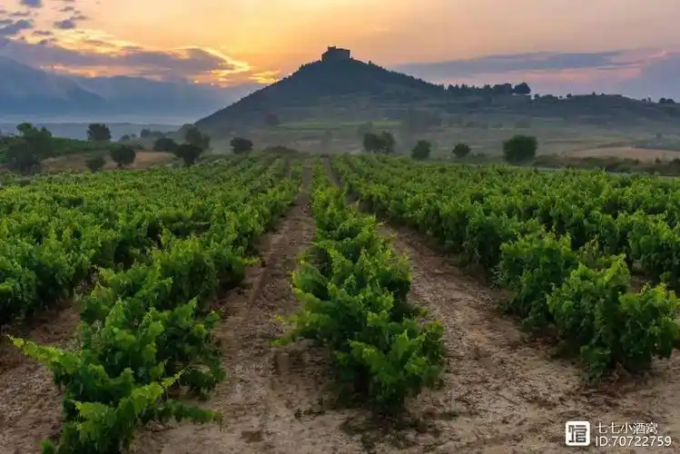 西班牙葡萄酒产区 | 你真的了解埃布罗河上游的里奥哈?