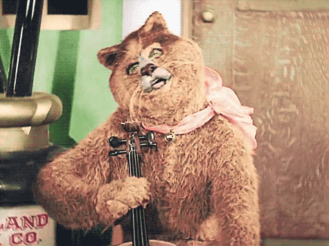 动物搞笑娱乐拉二胡gif动图_动态图_表情包下载_soogif