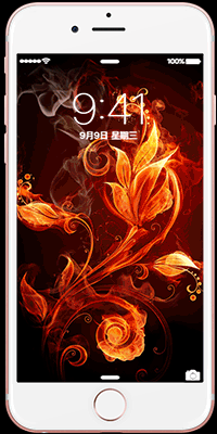 唯美 烈焰 燃烧 burning 动态 壁纸 锁屏 livephotos gif 动图 iphone