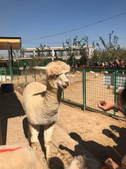 太原动物园一日游
