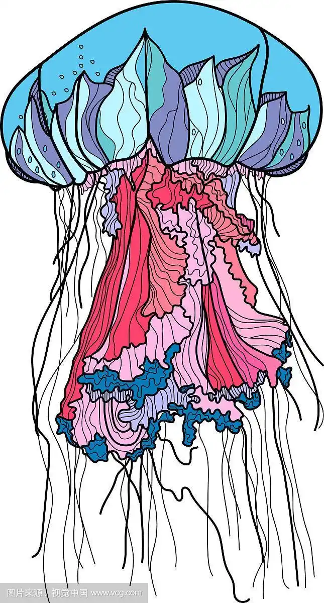 手绘水母