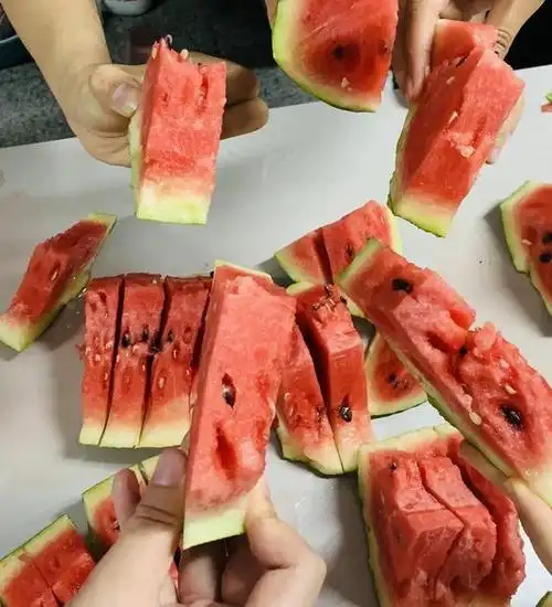 高校请2万多大学生吃西瓜|大学生|学校|李云|西瓜_手机网易网