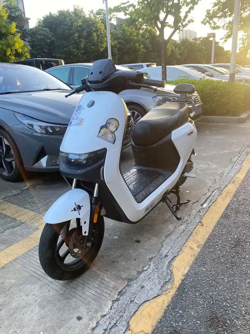 九号电动车现货.第一台n100双锂电充满电续航130公里左右 - 抖音