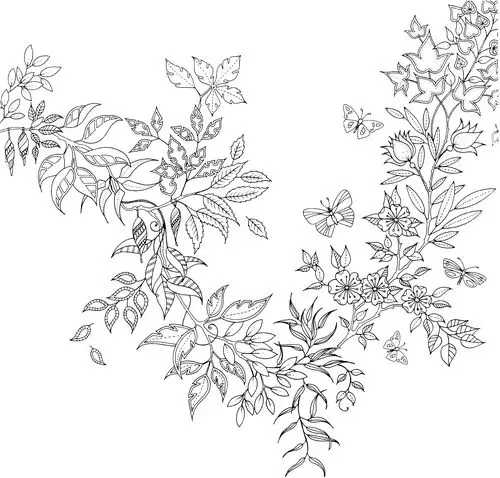 秘密花园第11页