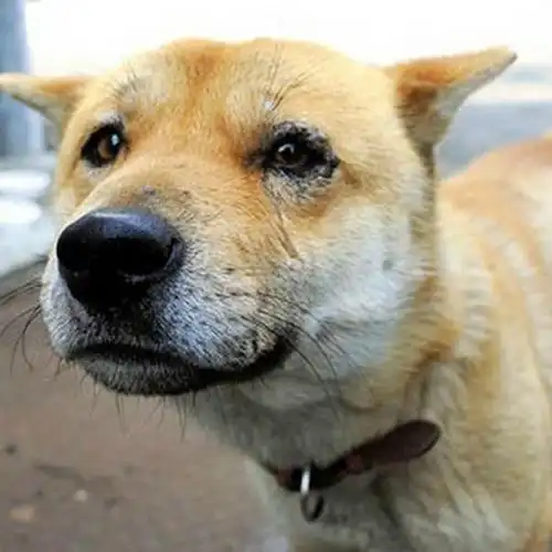 为什么在我的眼里 为什么在我的眼里总有预感