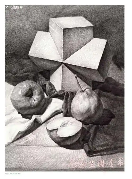 零基础学素描静物 临摹范画 结构素描静物基础教程教材书百度云网盘