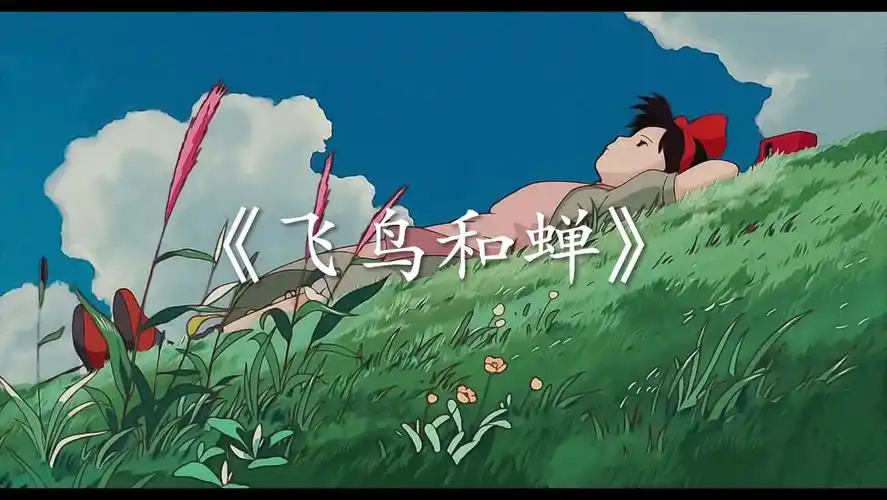 《飞鸟和蝉》完整版