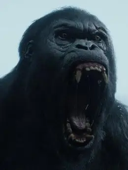 泰山归来险战丛林