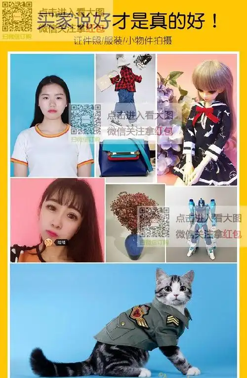 磨砂pvc无影背景纸 摄影棚背景布摄影白色布背景板反光板影楼道具