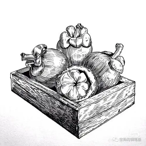 分享/静物写生线描画,太漂亮了!