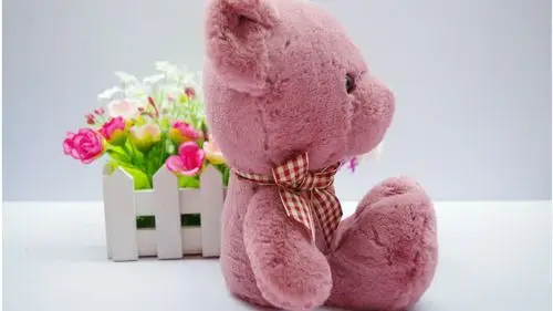 可爱的泰迪熊公仔,高清图片,电脑桌面-壁纸族