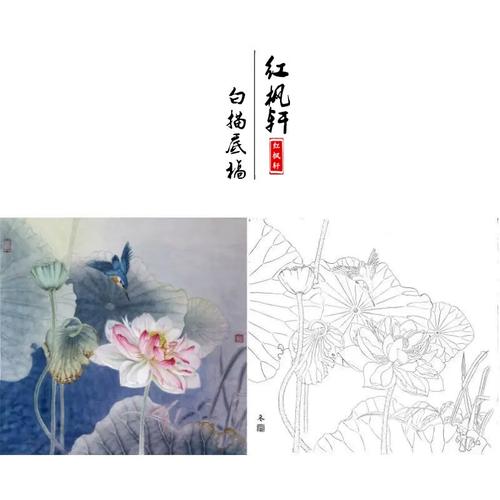 【有步骤】临杨冬冬《烟雨微香》工笔画白描底稿荷花鸟国画学习稿