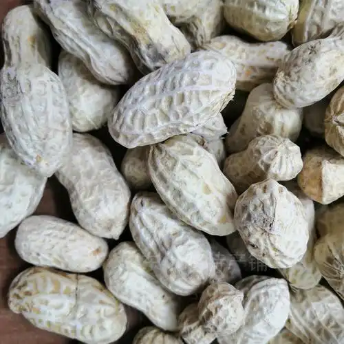 广东河源特产忠信花生500g散装水煮咸味咸干蒜蓉咸脆香脆花生坚果