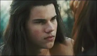 高大壮硕的狼人雅各布视吸血鬼为天敌,然而他却同样深爱着贝拉,在