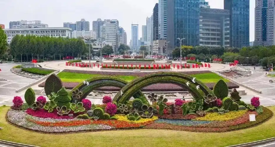 西安草花批发|西安草花基地|西北最大草花花卉种植基地