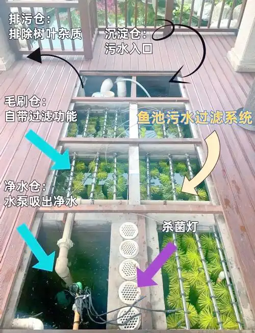 鱼池过滤系统:每个仓体的作用详解 🐟
