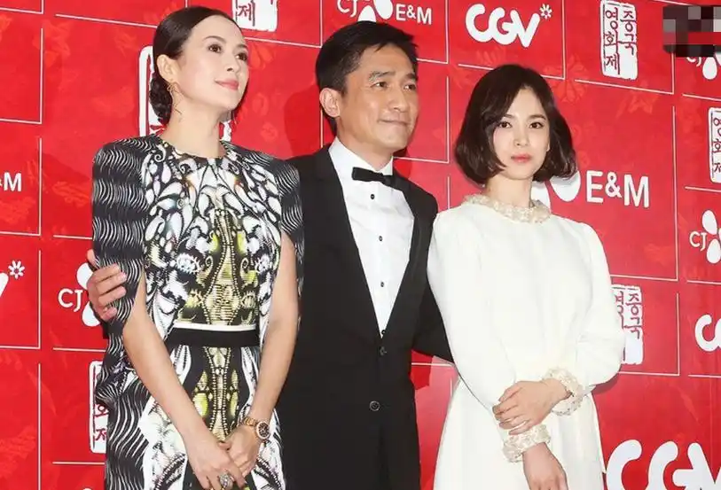 和梁朝伟合作过的11位女星,董洁到张曼玉,个个倾国倾城令人艳羡