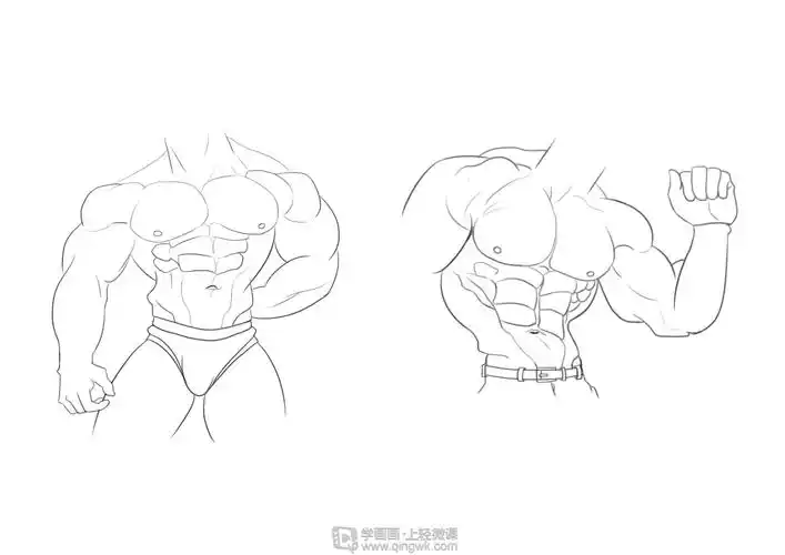 临摹男性肌肉角色人物肌肉绘画训练