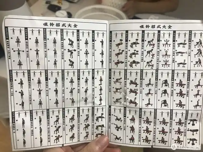 招式可以说相当全了