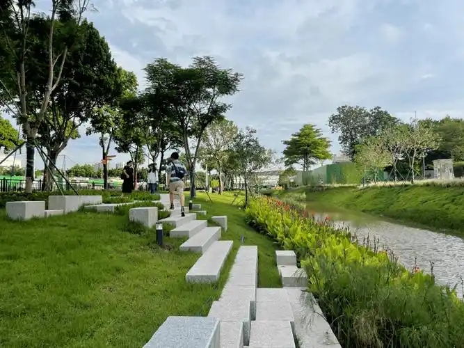 一条蓝色命脉的重生激发羊城新活力广州大坦沙岛