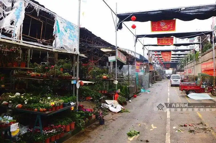 广西花鸟交易市场秩序良好 除受灾区域外正常营业