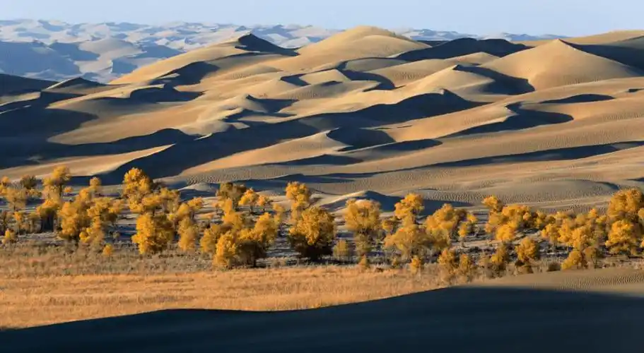 塔克拉玛干沙漠,位于塔里木盆地中心,东西长约一千公里,南北宽约四百