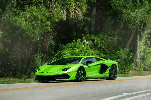 绿牛一头lamborghiniaventadorsvj