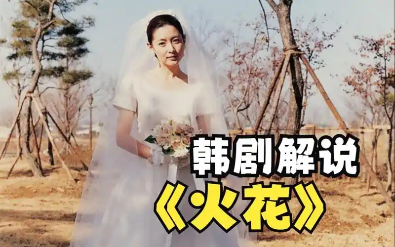 韩剧《火花》解说已完结 车仁表回忆和李英爱的相识,见一面定终身:我