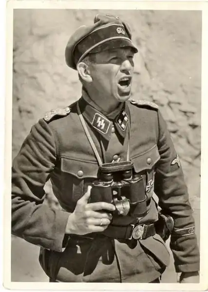 23),二战德国武装党卫队少将,人称"装甲迈尔",他的全名为库尔特