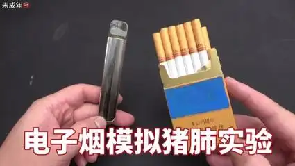 电子烟对人体究竟有多大危害,小伙用猪肺进行了实测