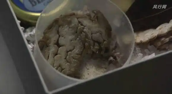 汉尼拔最后小孩吃了人脑揭示了什么