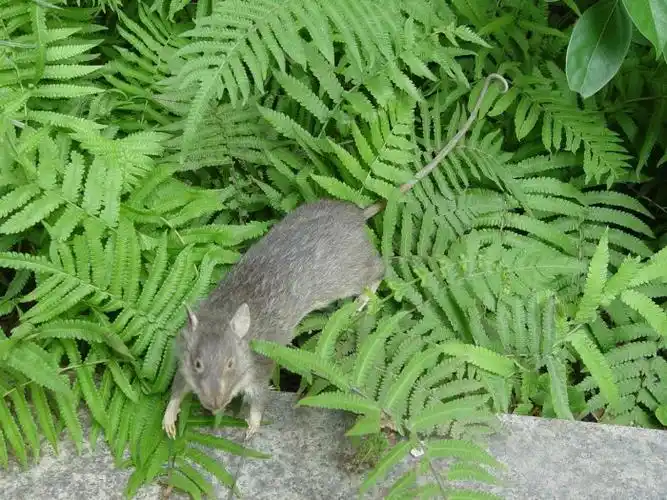 福州森艺生态环境工程有限公司