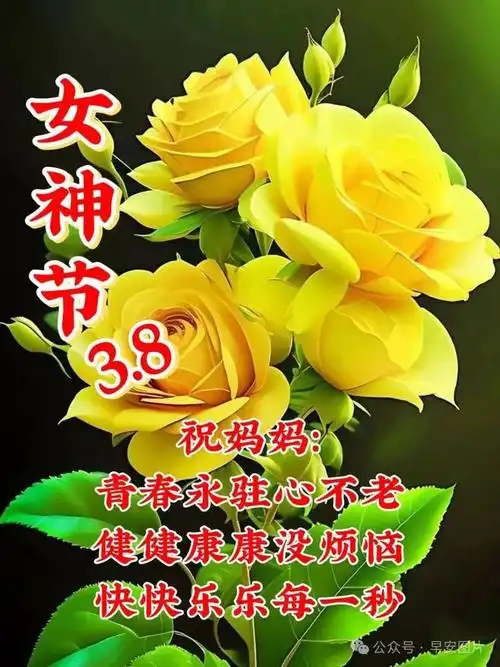 三八女神节祝福图片,女神节祝福语|节日|快乐|幸福|妇女节|女人节_网