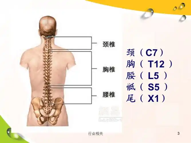 胸椎骨折的护理一类严选