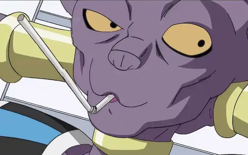 比鲁斯|你以为我只是一只瘦猫?