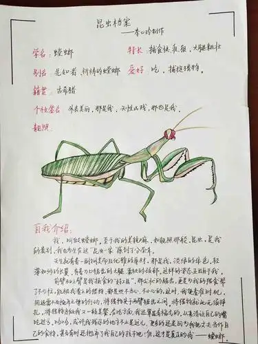《昆虫记》阅读成果(三)