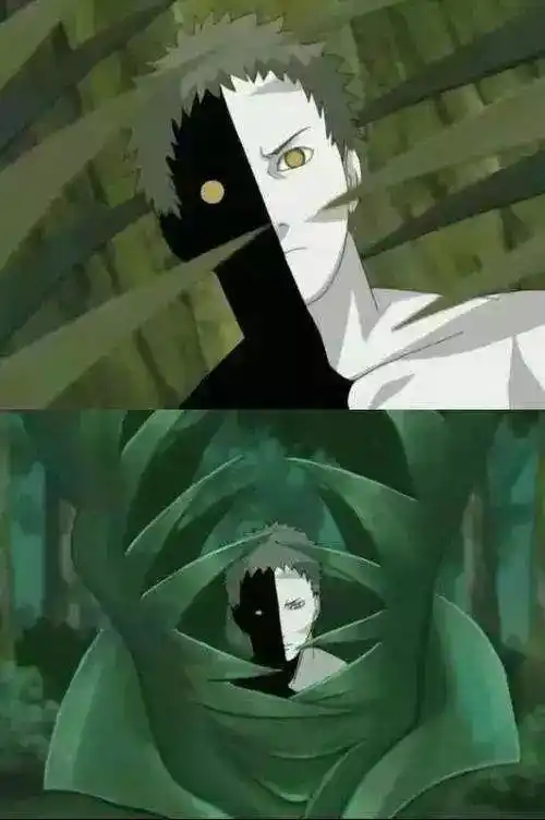 火影忍者看了这么多年火影白绝到底是怎么来的