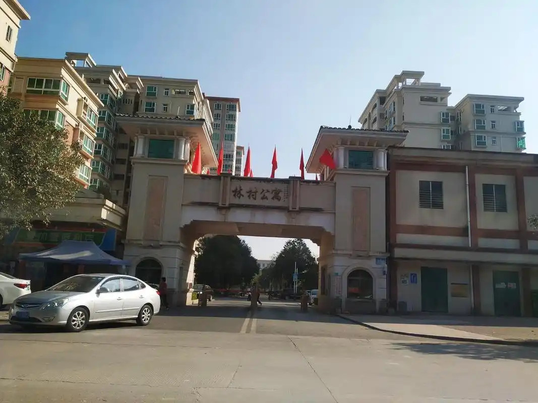 东莞一条村的广场有多大~ 你会发现这里真的很土豪~ 看看塘厦林村广场