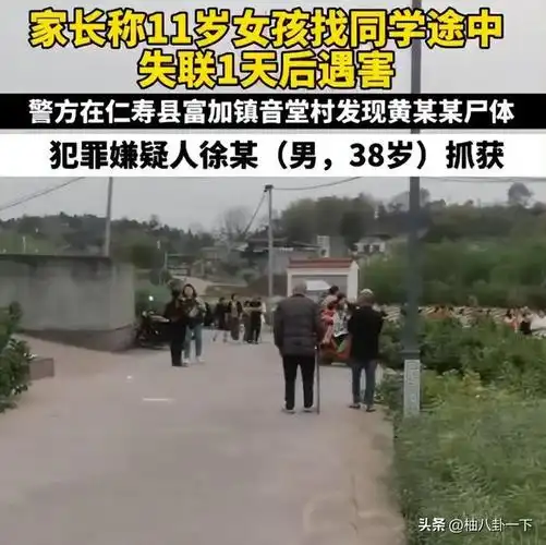四川11岁女孩失联遇害后续嫌疑人38岁单身村民曝生前被强奸