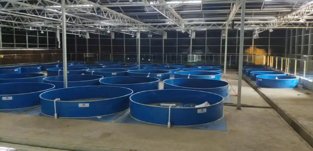 湖南永州小型工厂化水产养殖系统介绍