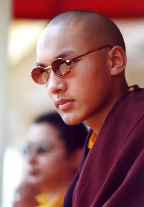 【 十五世大宝法王的护法简介 】