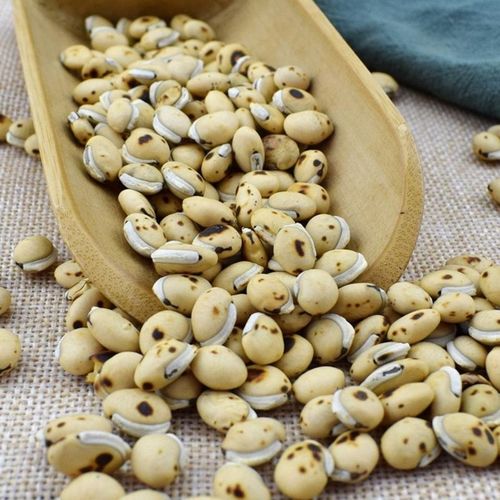 药食同源炒白扁豆泡茶中药材杂粮白扁豆100克500克包邮扁豆祛湿