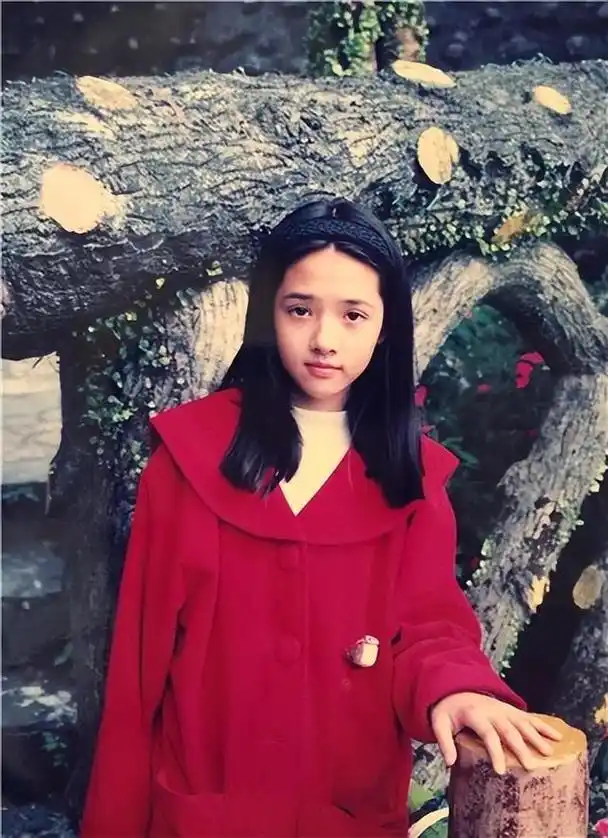 郭碧婷活成了所有人羡慕的模样:自己选的豪门路(3)