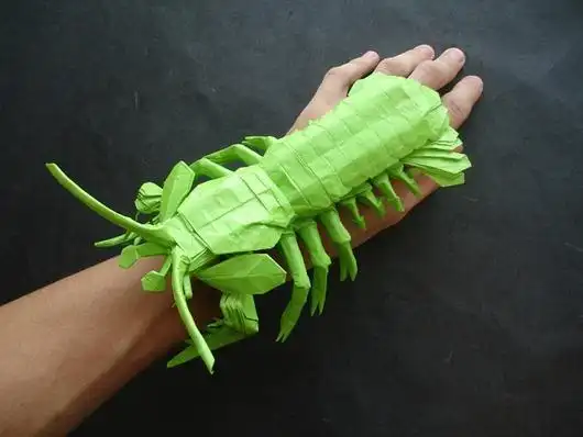 折纸仿真蜥蜴