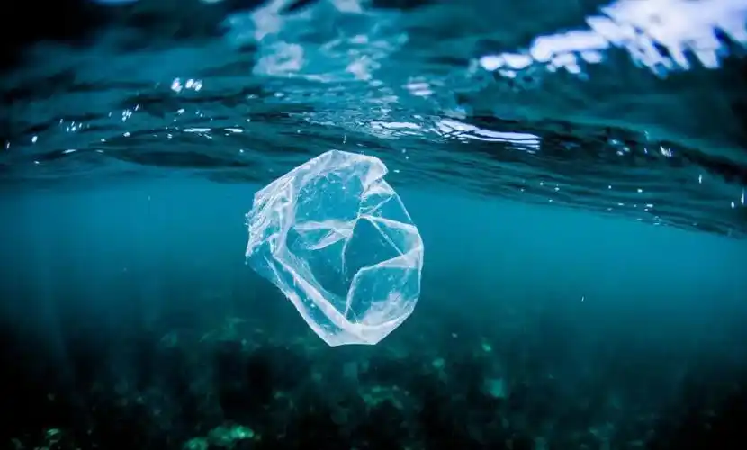 国家发改委生态环境部联合发布2022年塑料污染治理8大任务