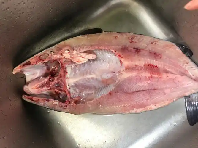 清江鱼怎么做都不会翻车