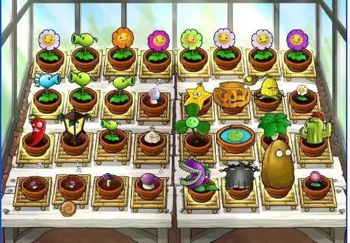 植物大战僵尸植物种植